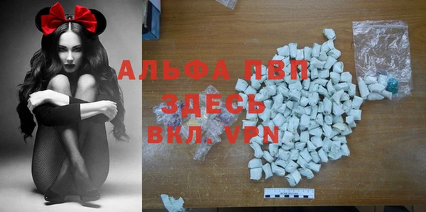 Альфа ПВП Гатчина